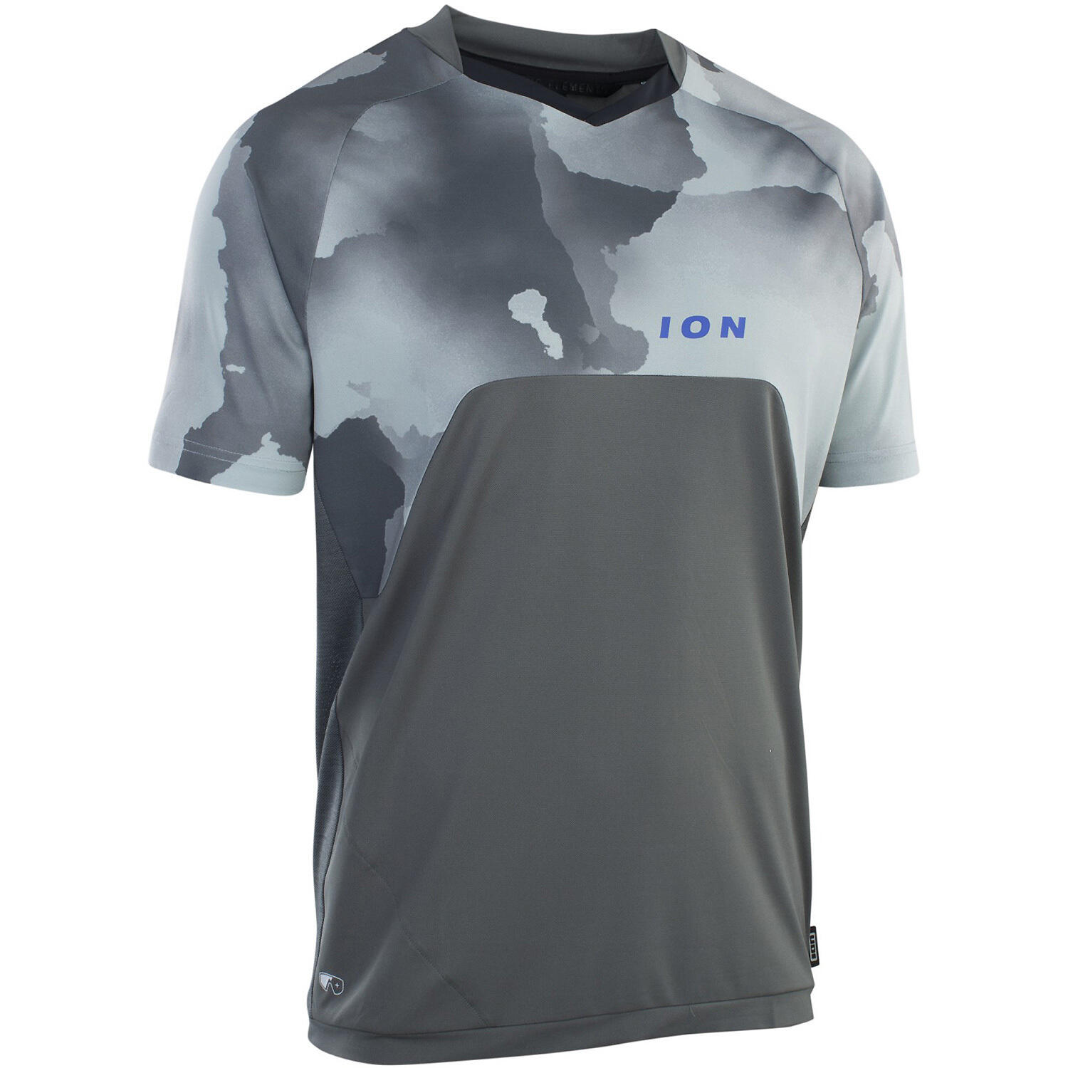 ION picture