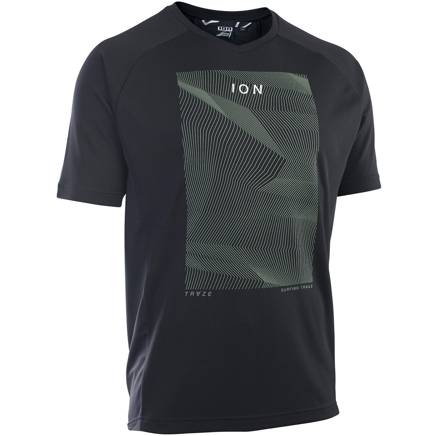 ION picture