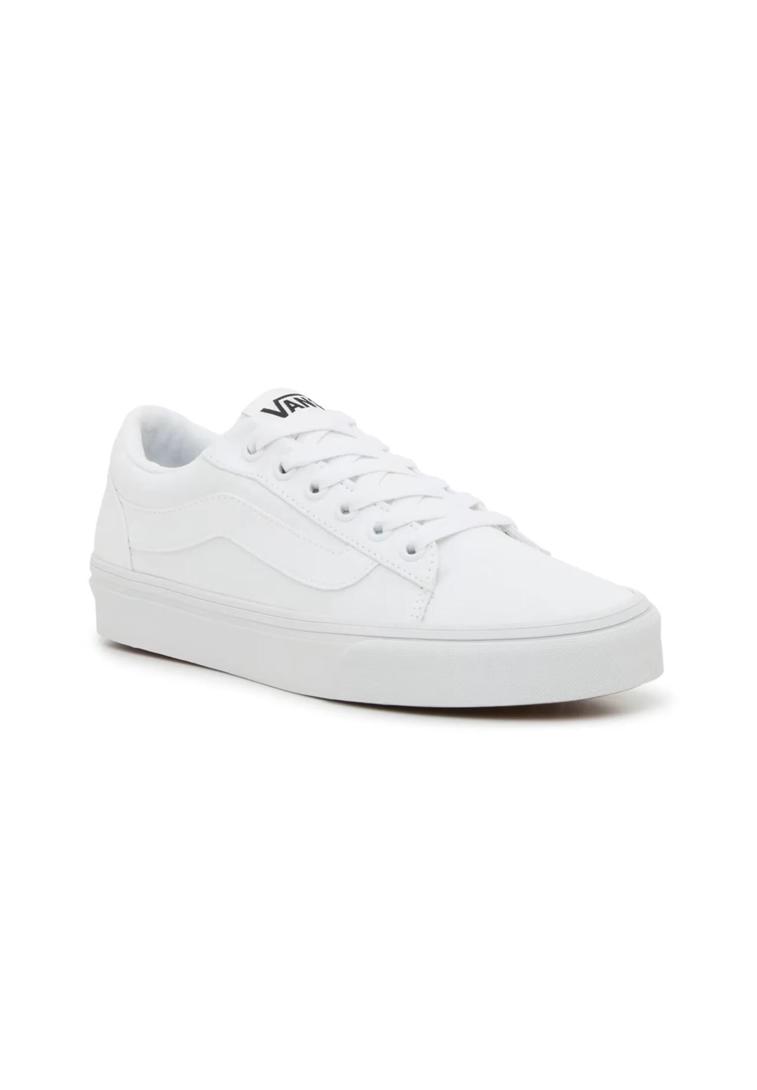VANS picture