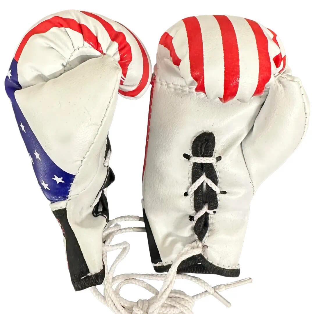 Ringside Miniature Bag Gloves 3/6