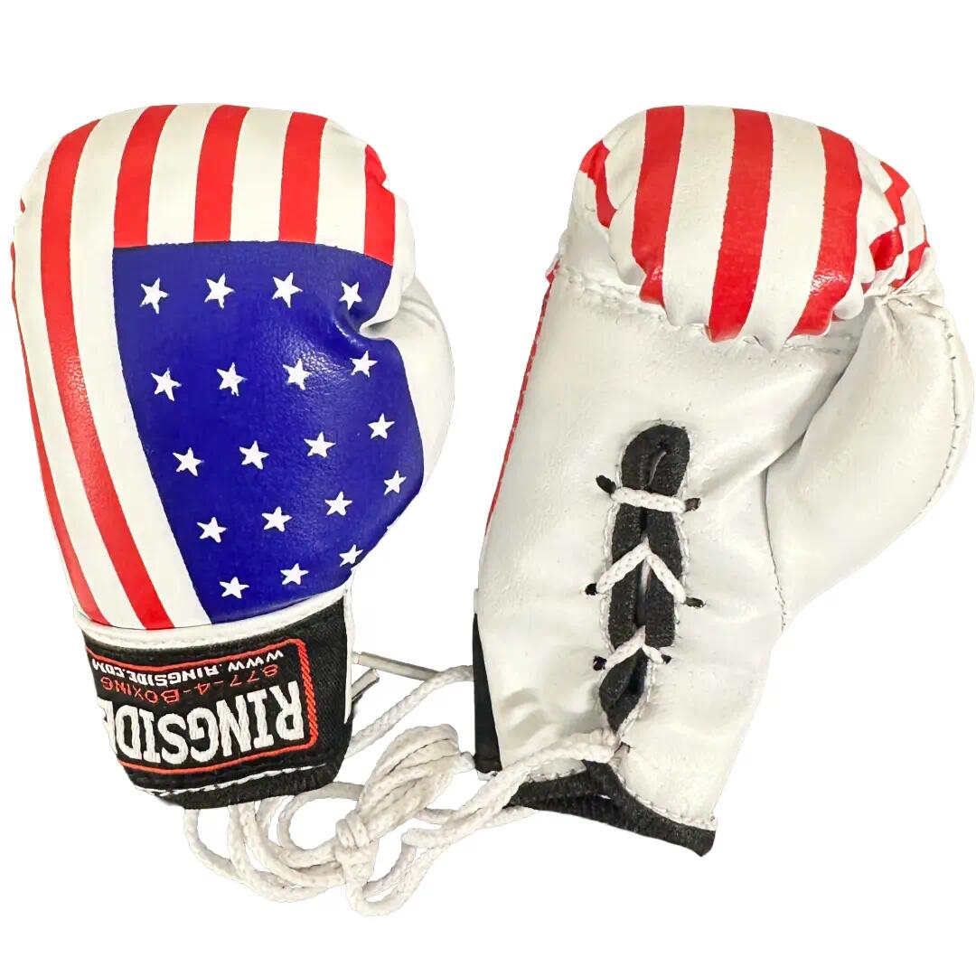 Ringside Miniature Bag Gloves 2/6