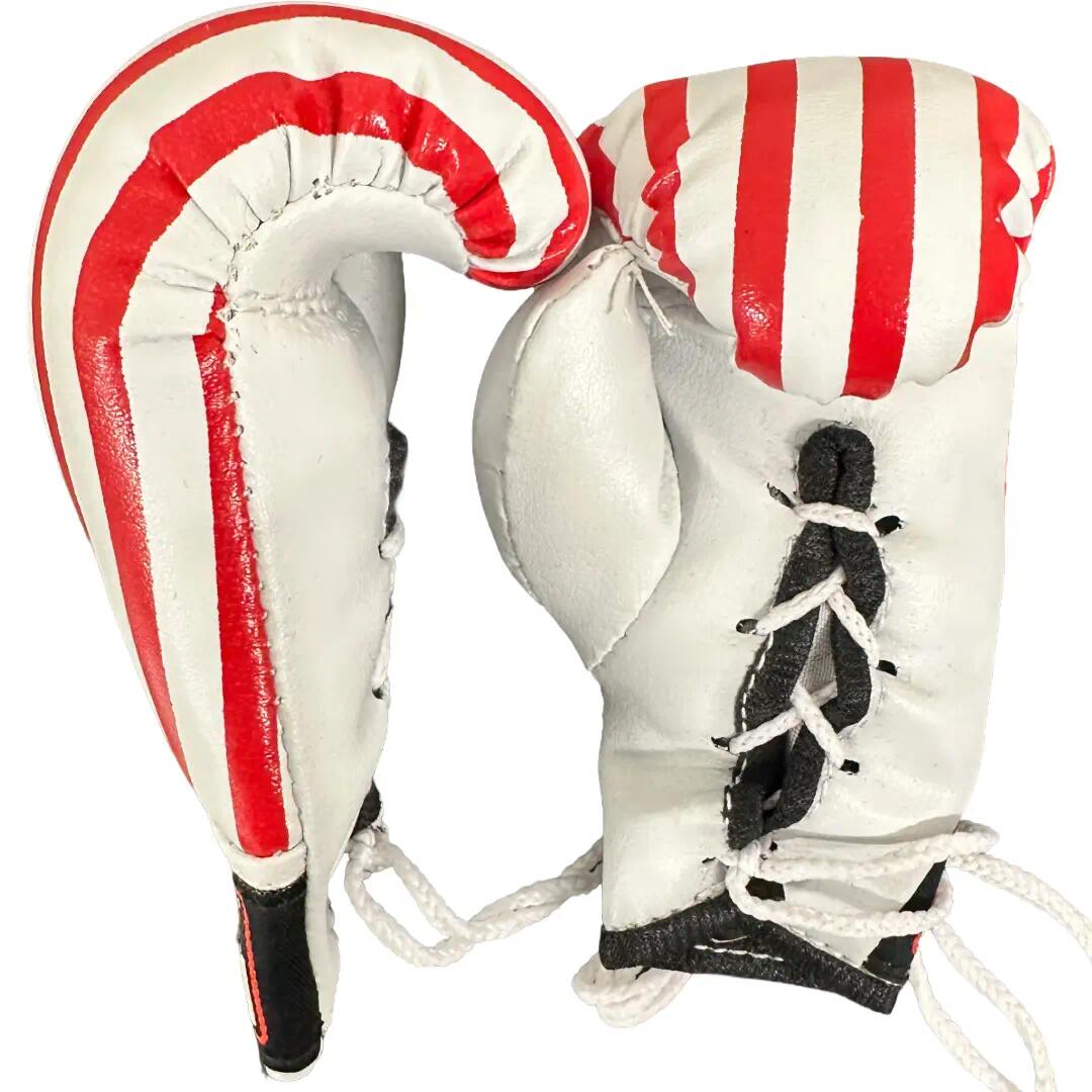 Ringside Miniature Bag Gloves 5/6