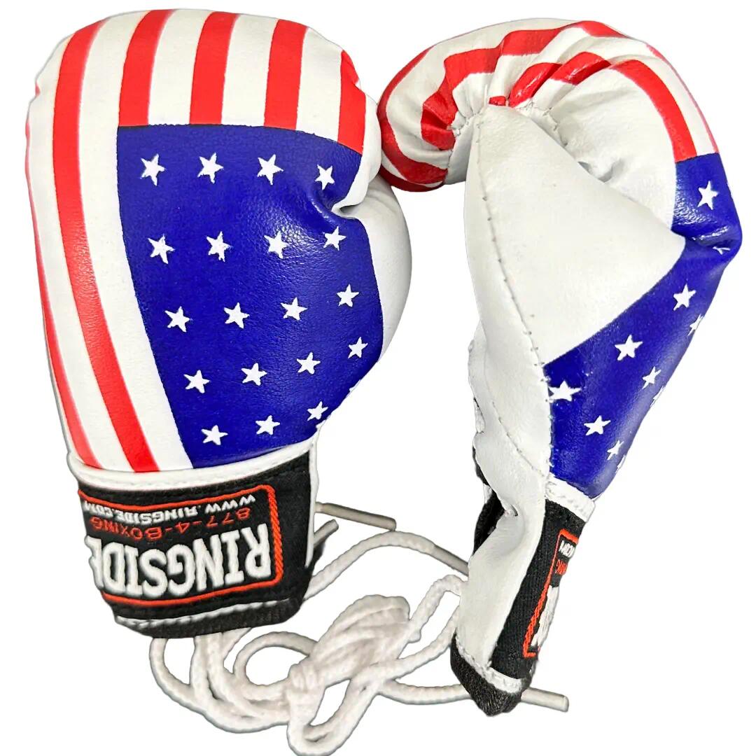 Ringside Miniature Bag Gloves 4/6