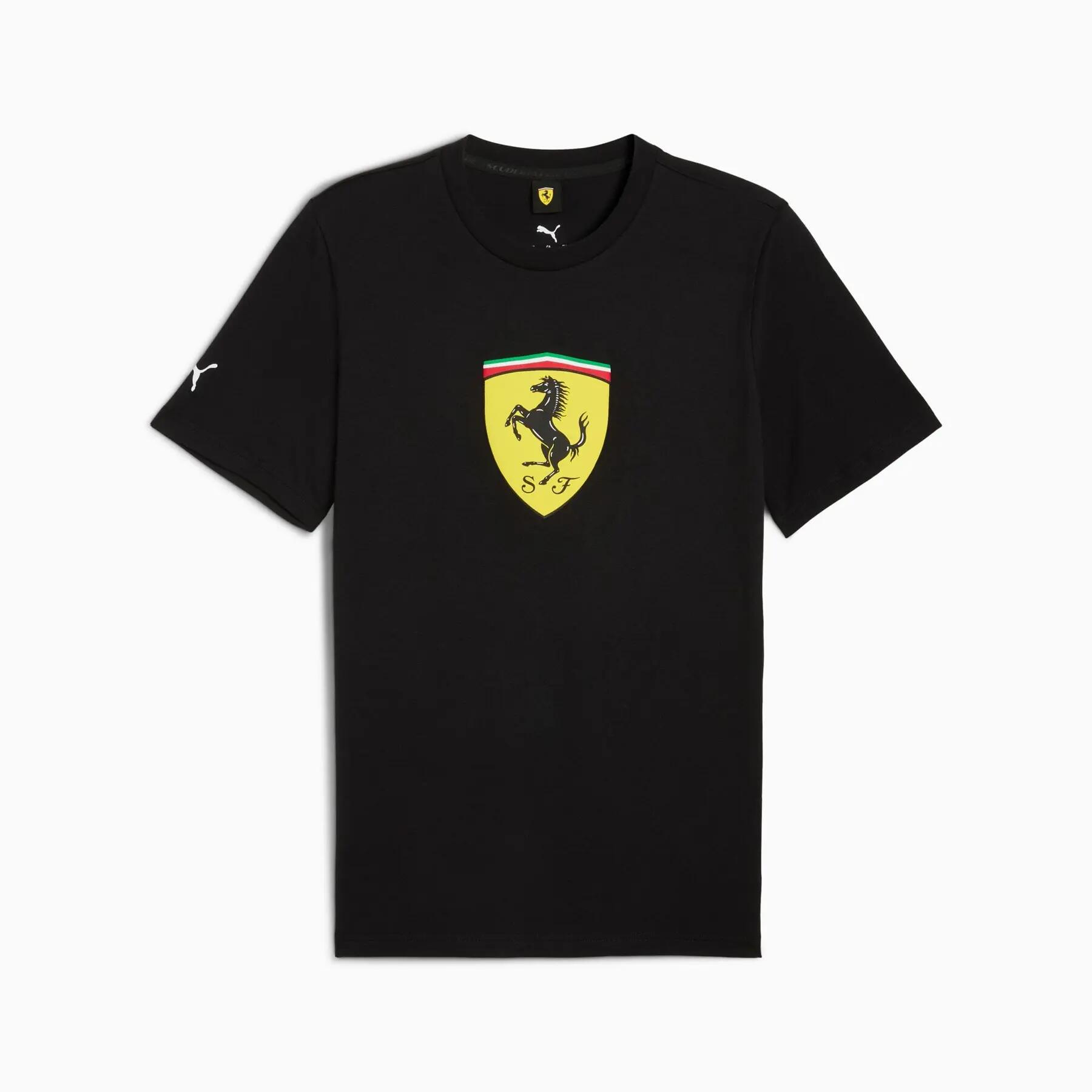 PUMA picture