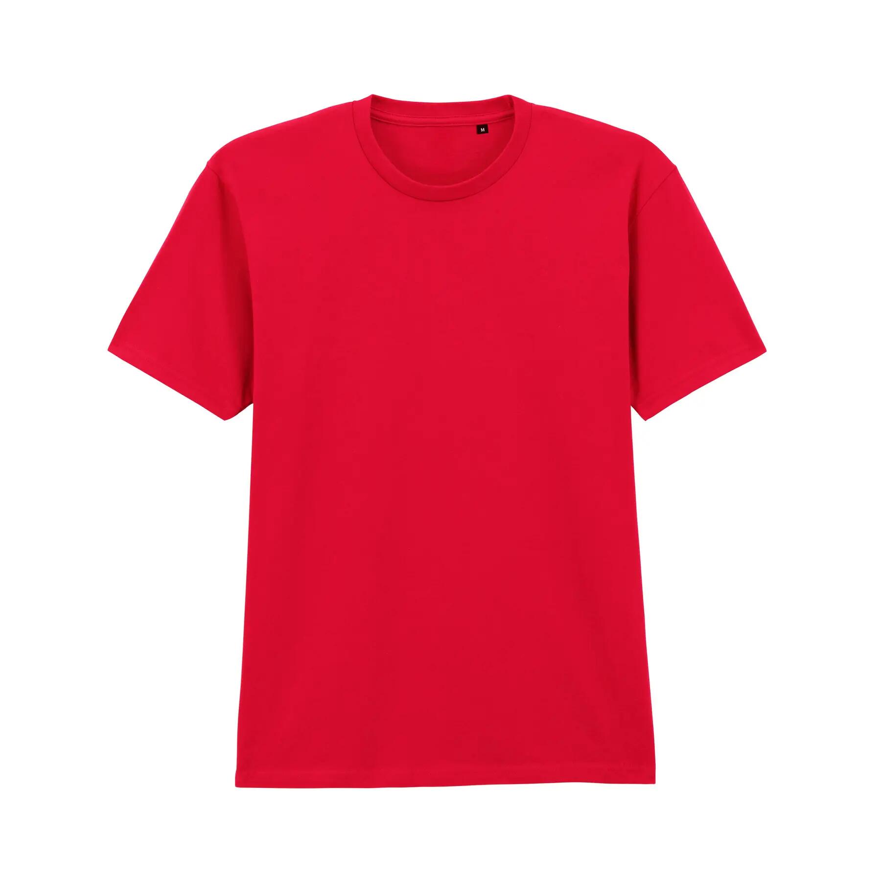 T-shirt Gildan Softstyle No Label Enzyme Wash 1/2