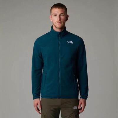 The north face ski jacket men