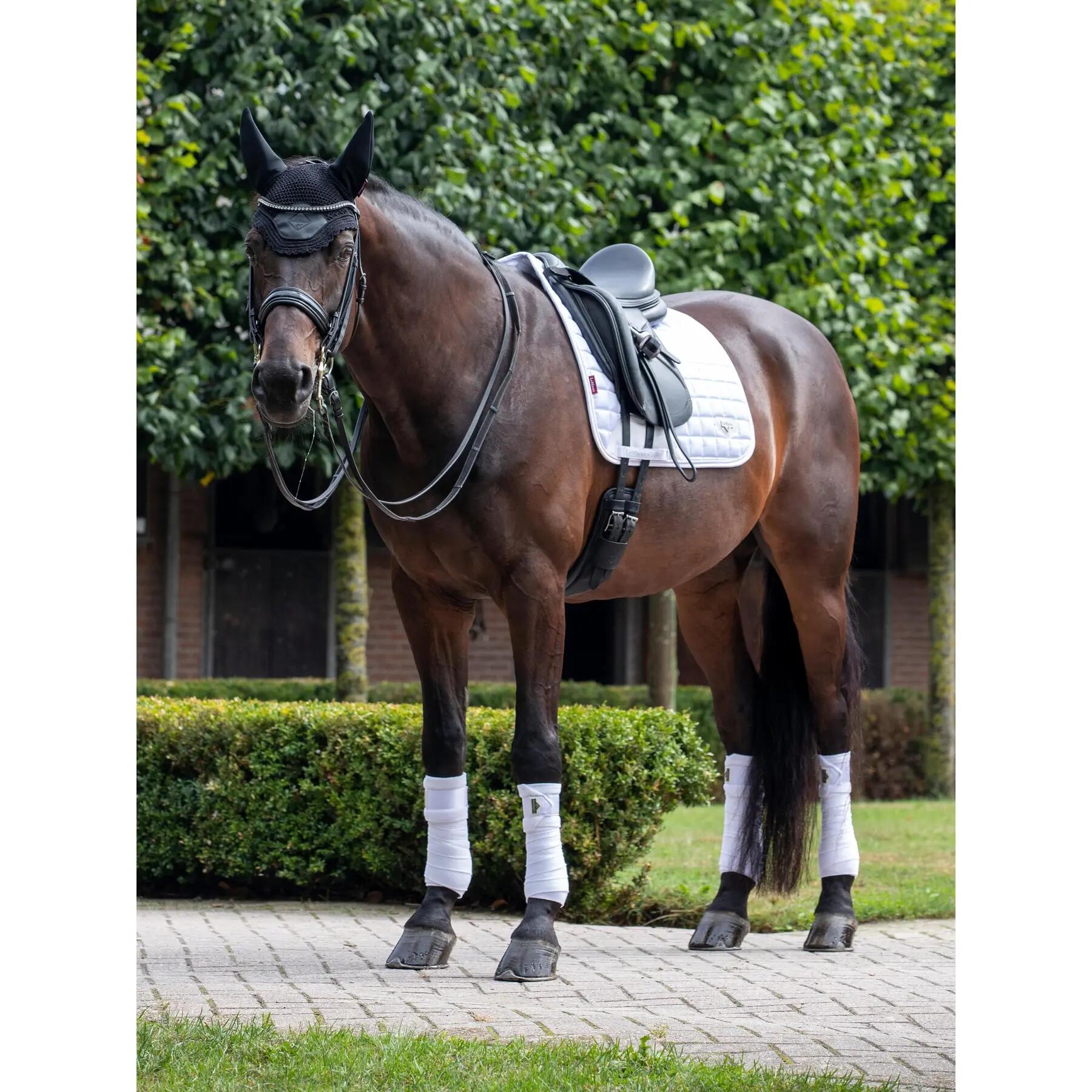 Dressuurmat voor paarden LeMieux Square 2/2