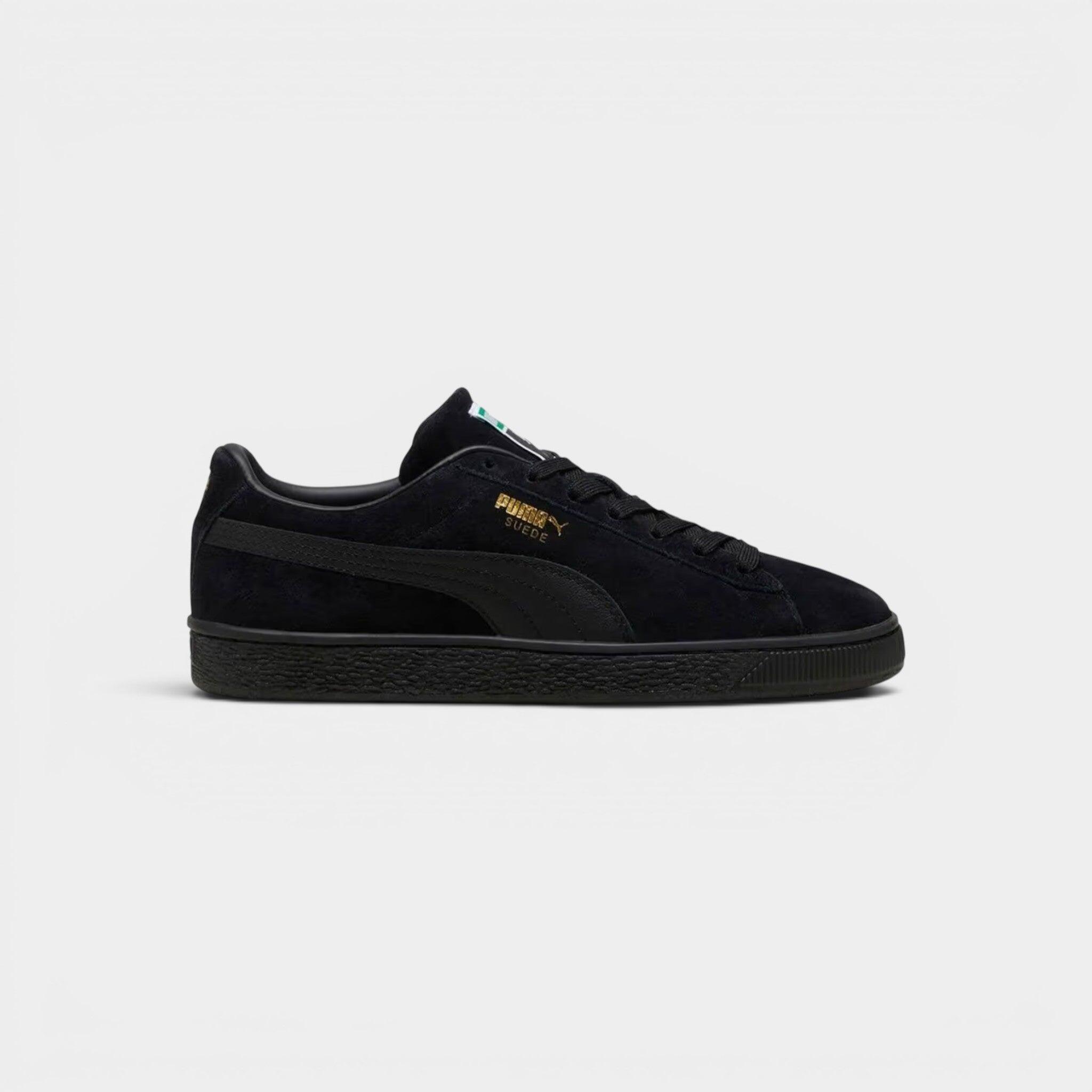 PUMA picture