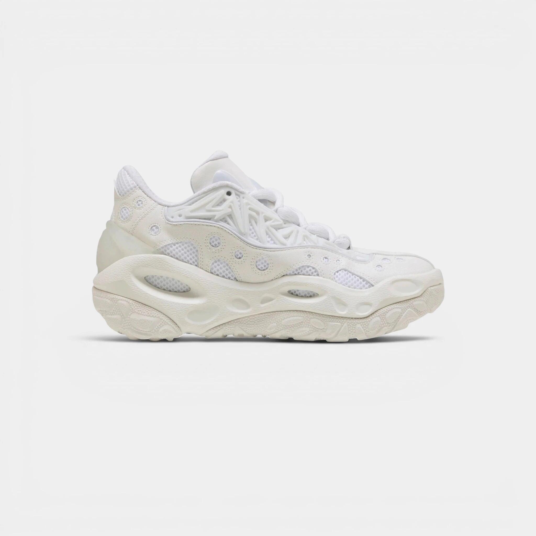 PUMA picture