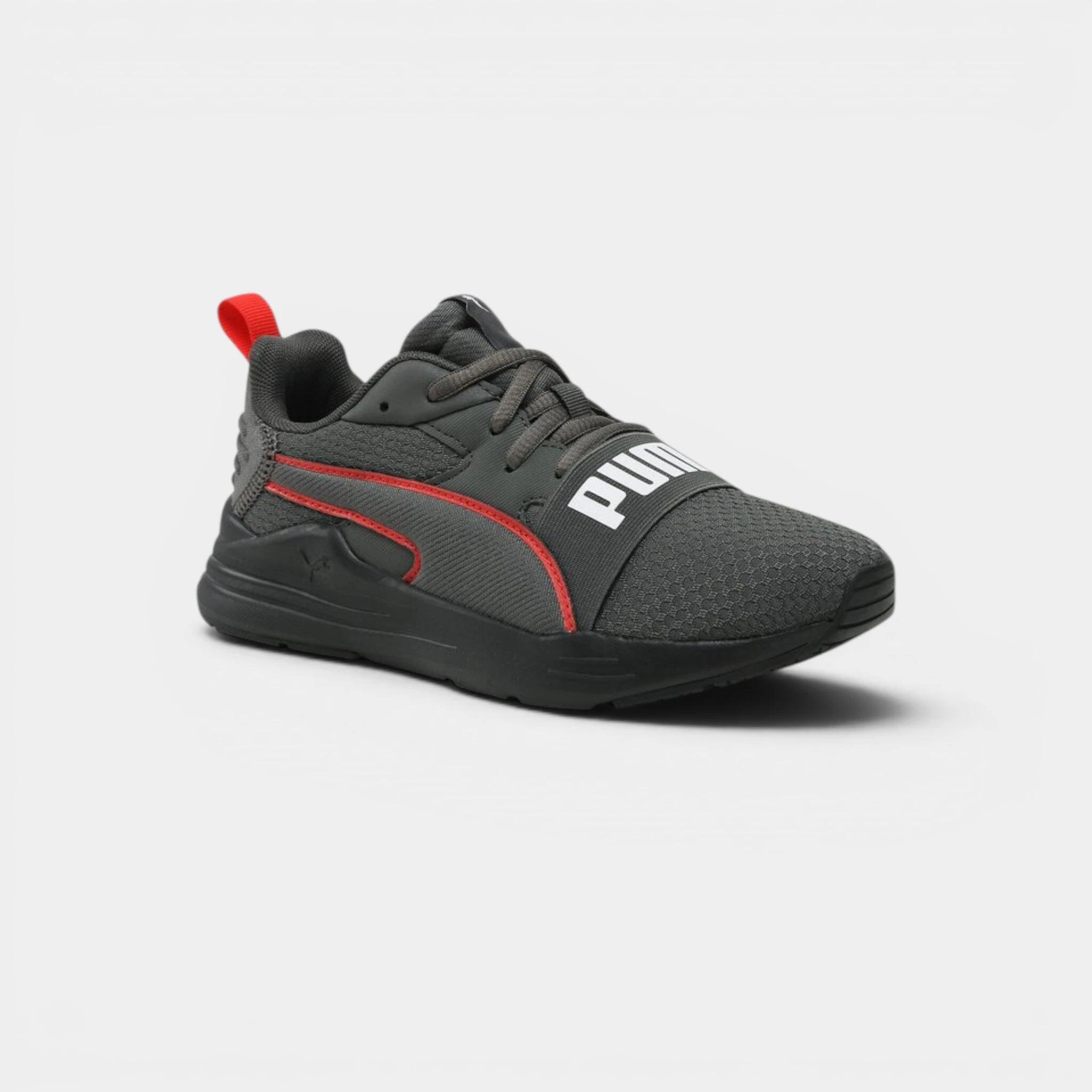 PUMA picture