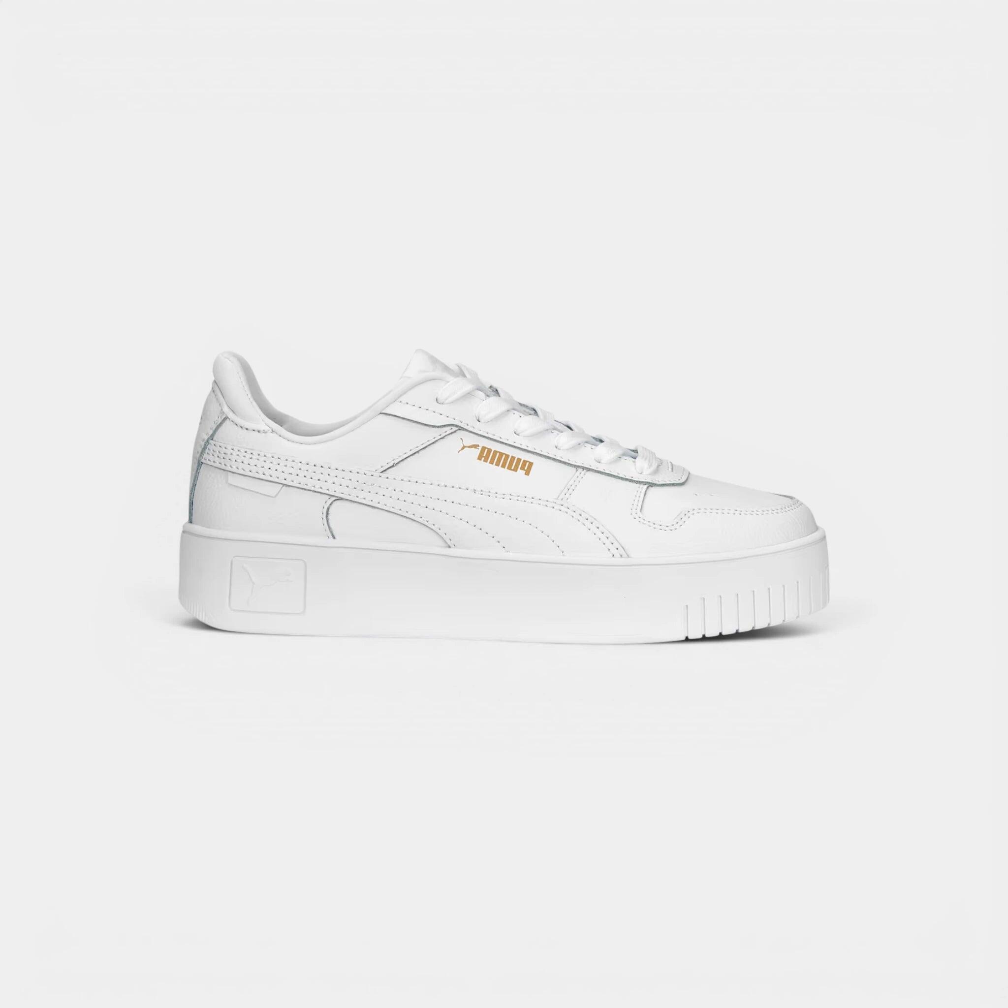 PUMA picture