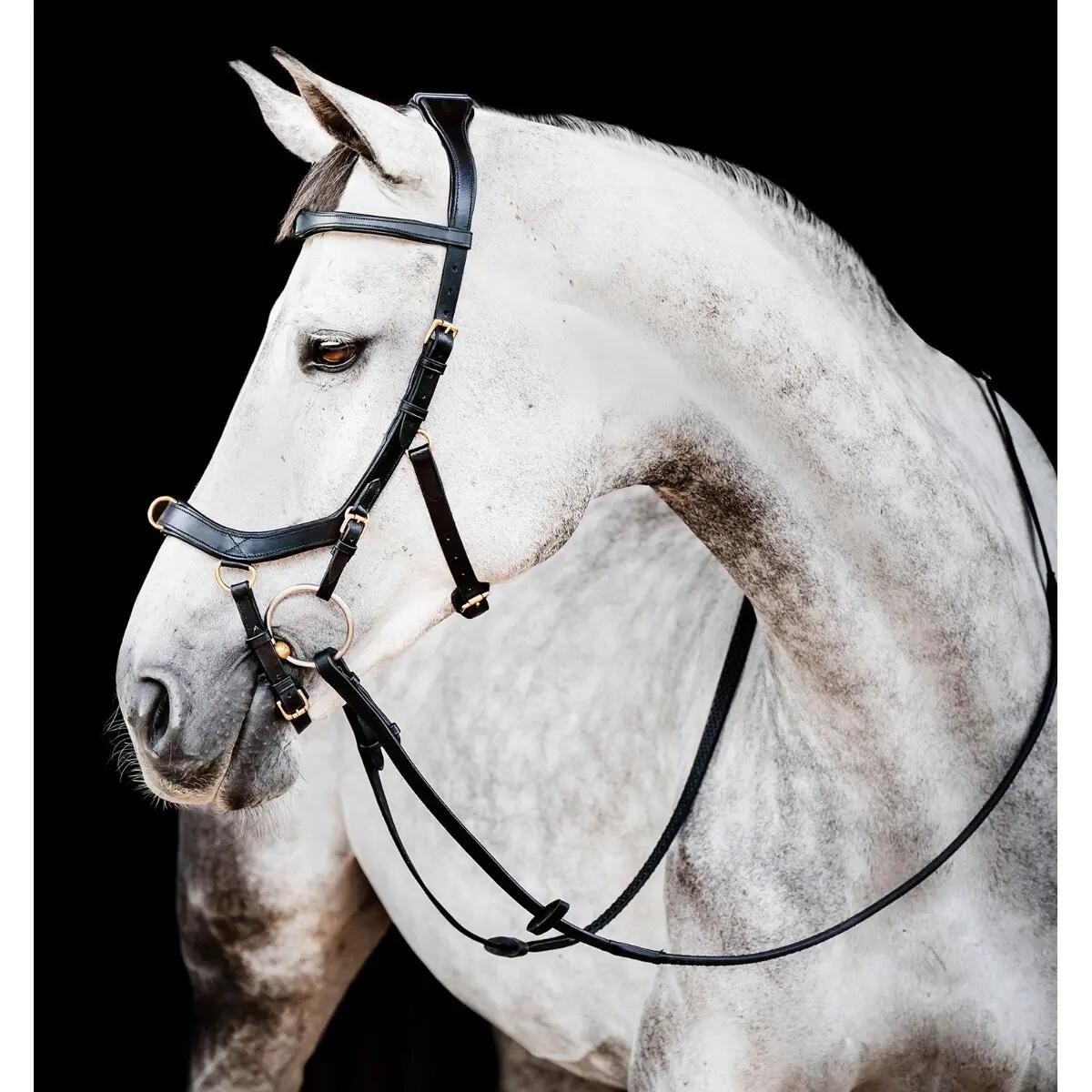 Bridon équitation anatomique Horseware Micklem Multi 2/2
