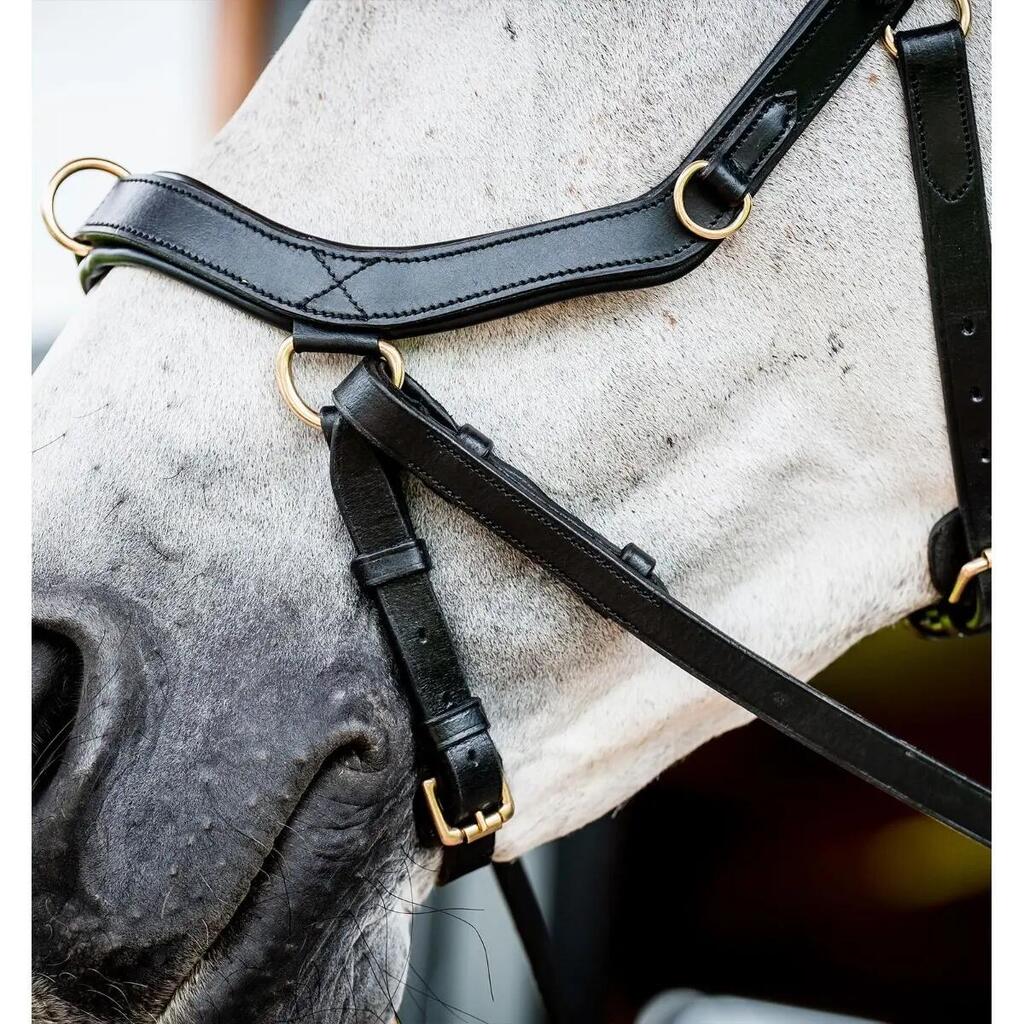 Anatomical riding bridle Horseware Micklem Multi