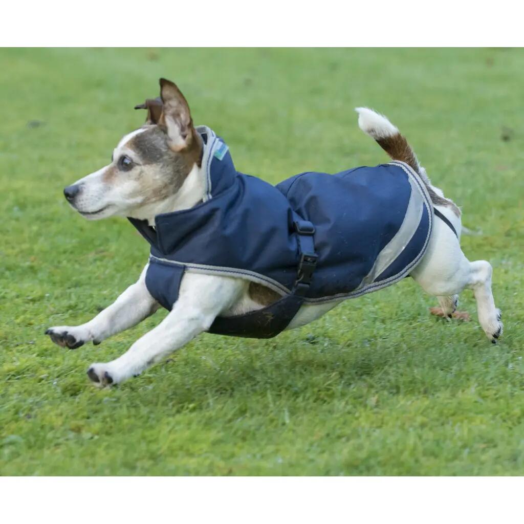 Dog coat Bucas Freedom