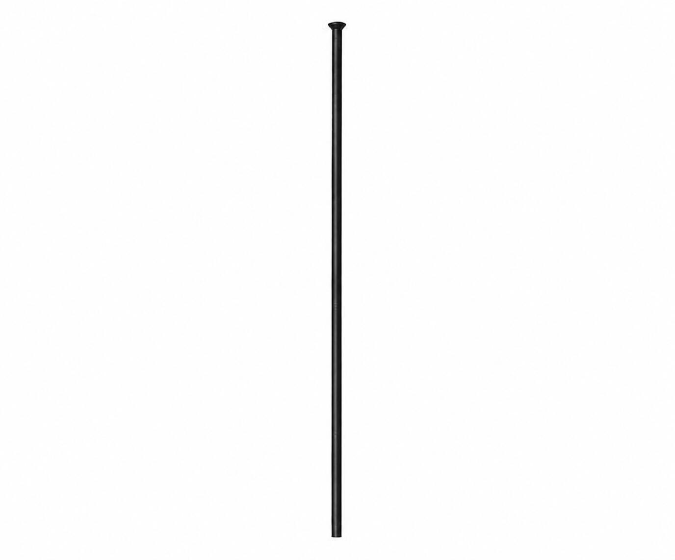 Rayon Compétition 2.0 straightpull 290 mm 2.0x1.8 1 pcs. 1/2