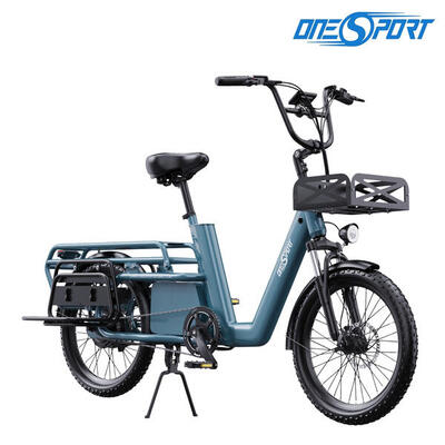 E-bike lage instap 48v/27ah 100km elektrische fiets uniseks