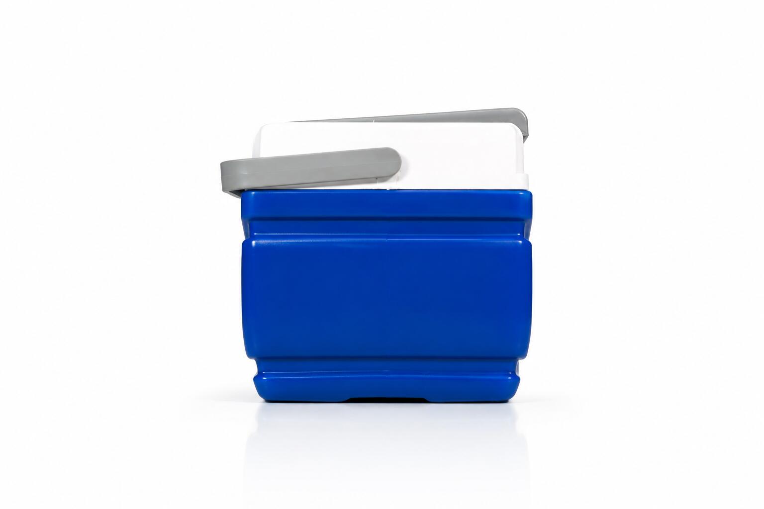 Frigo Portatile 4,5L Pinnacle Hard Cooler 4/7