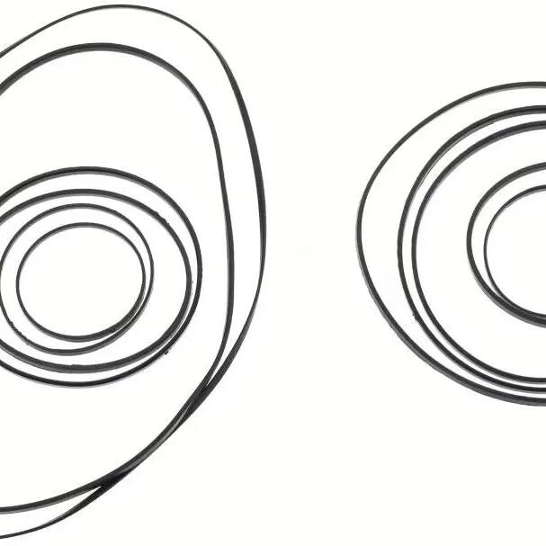 SRAM StealthRing set for XG-1290 12-speed 10-36T
