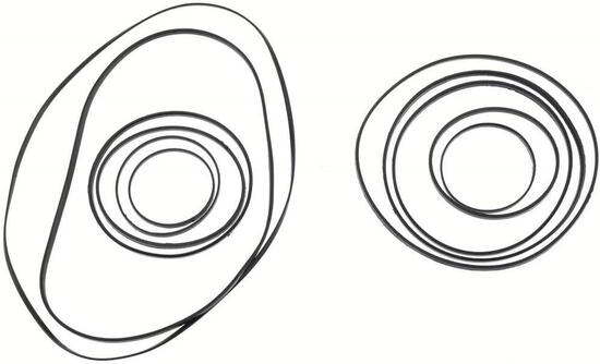 Kass.ritzel-Ring Set SRAM XG-1290 Red E1 für 10-36 Zähne, Dämpferringe
