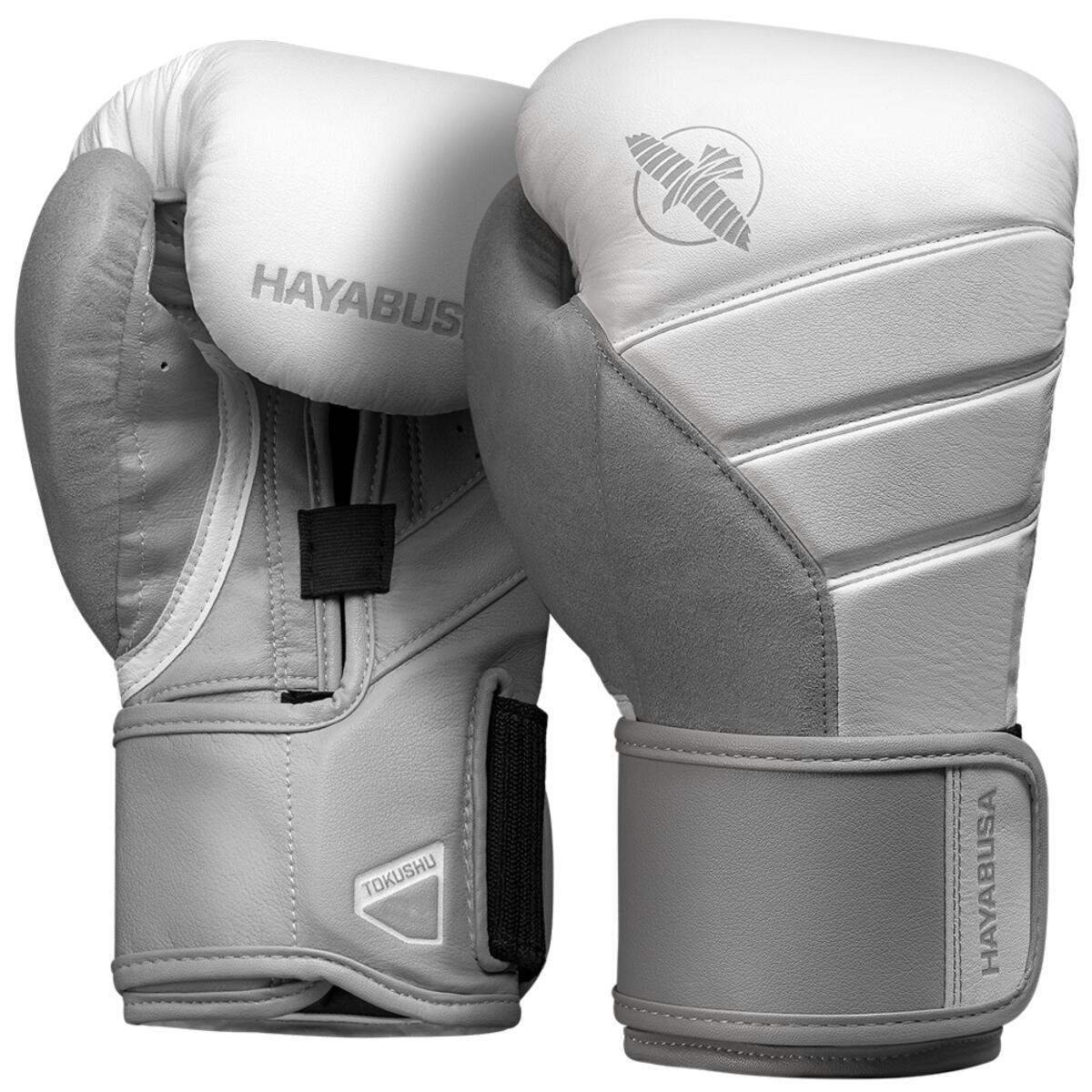 HAYABUSA picture