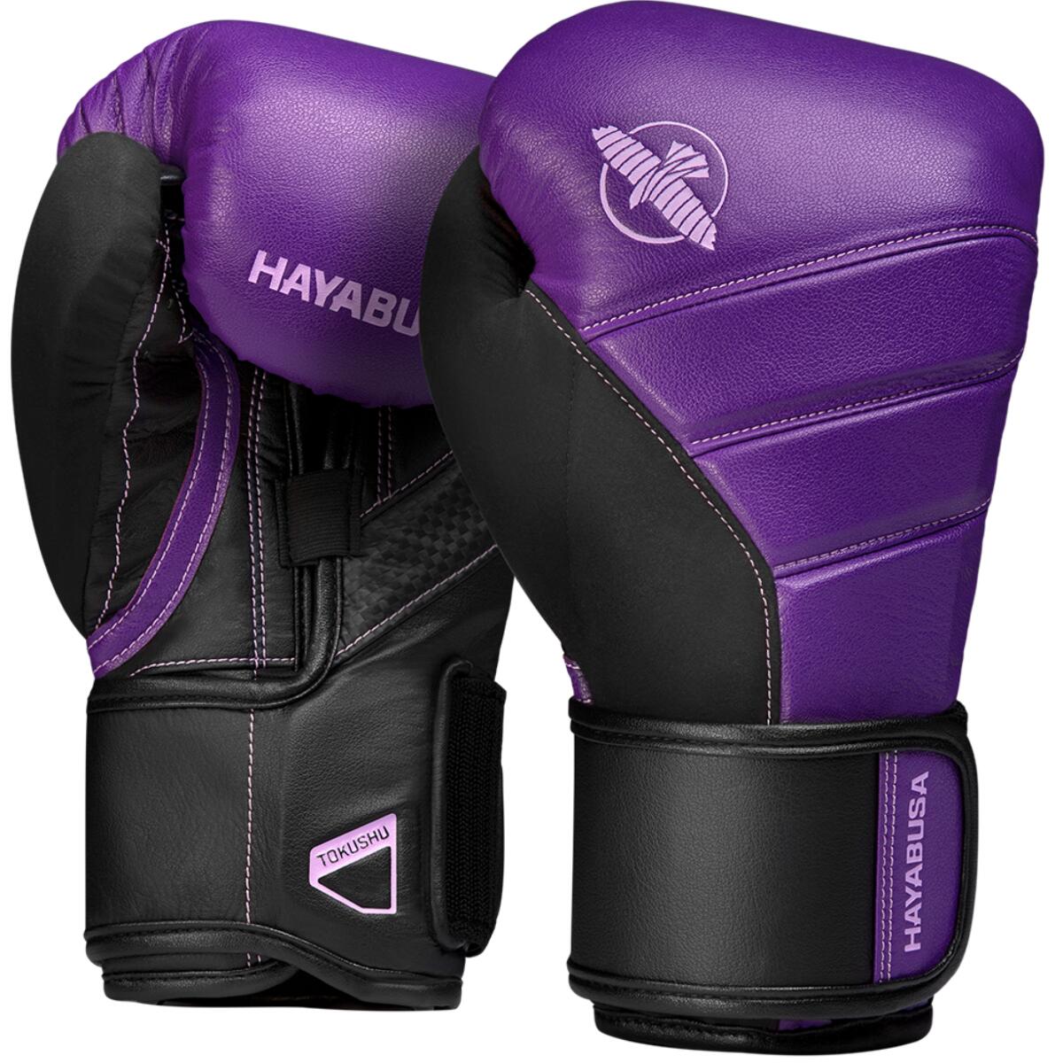 HAYABUSA picture