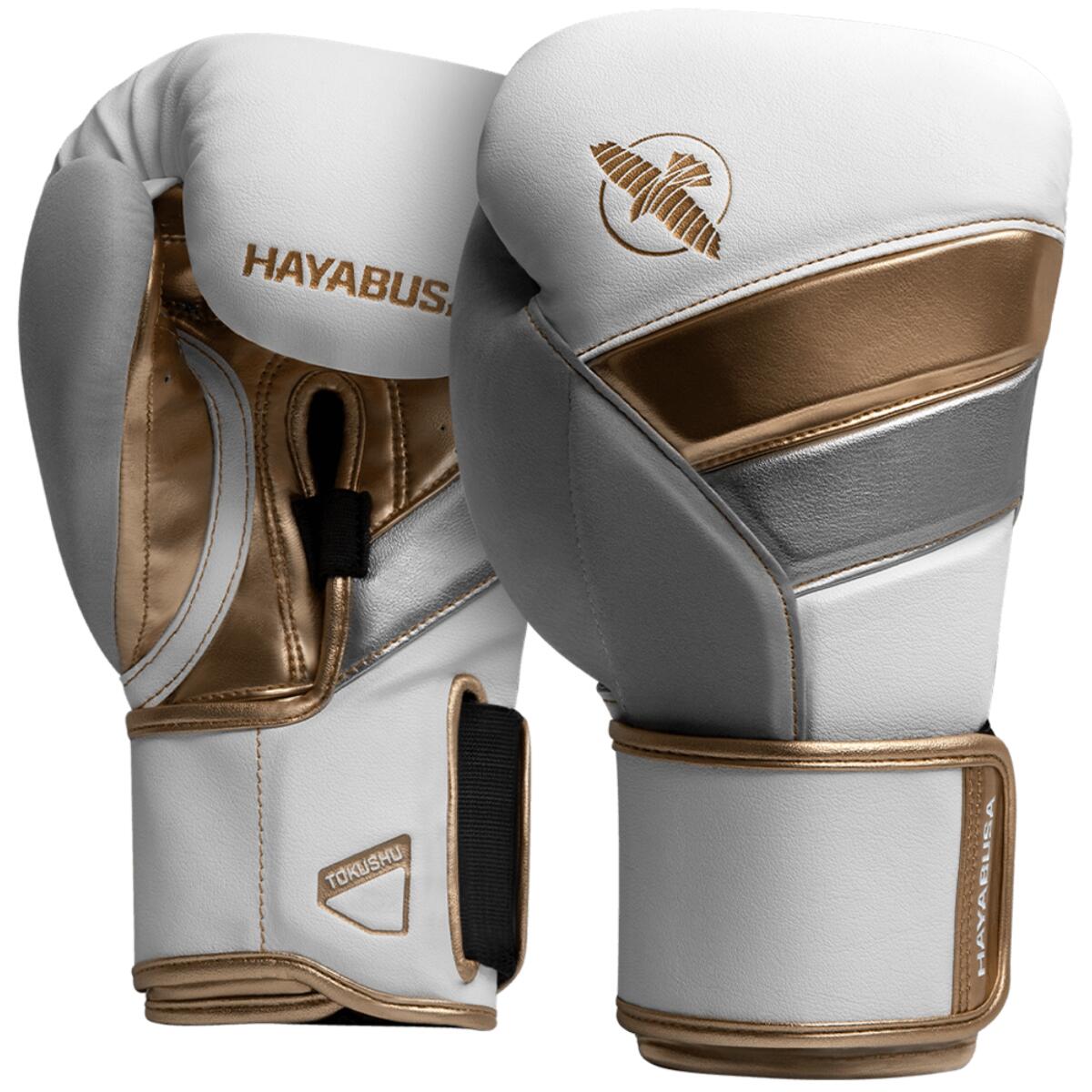 HAYABUSA picture