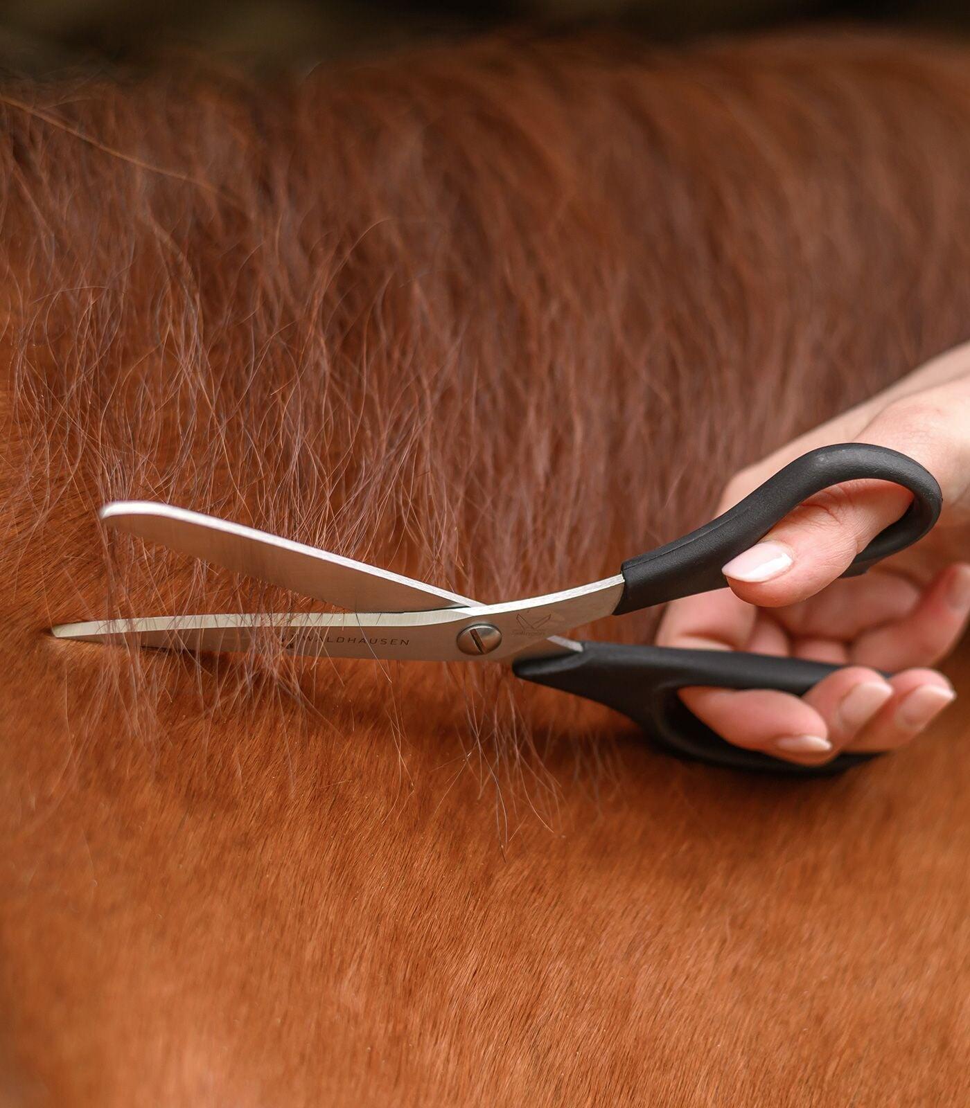 Paardenknip-schaar voor manen en staart Waldhausen Easy Cut 3/4