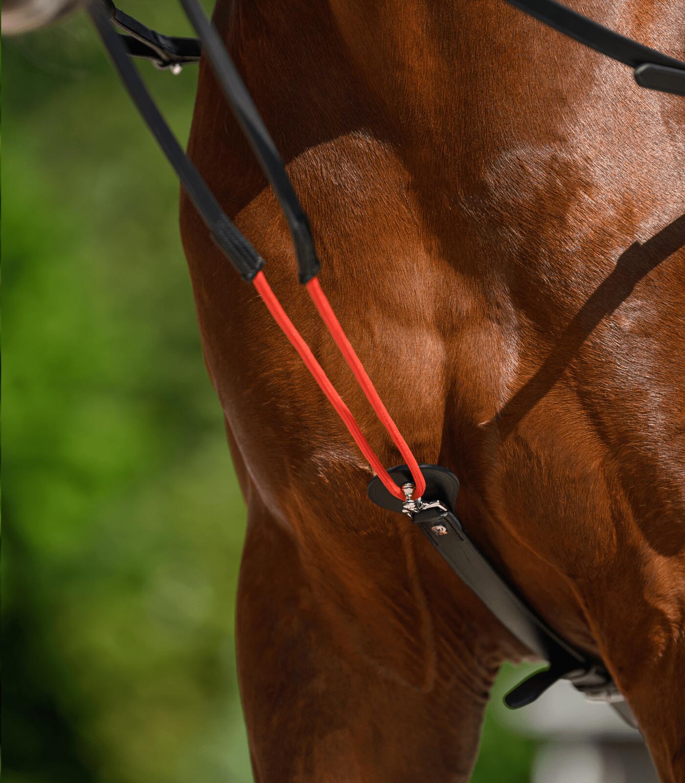 Frenos para caballo de entrenamiento Waldhausen W-trainRein 5/5