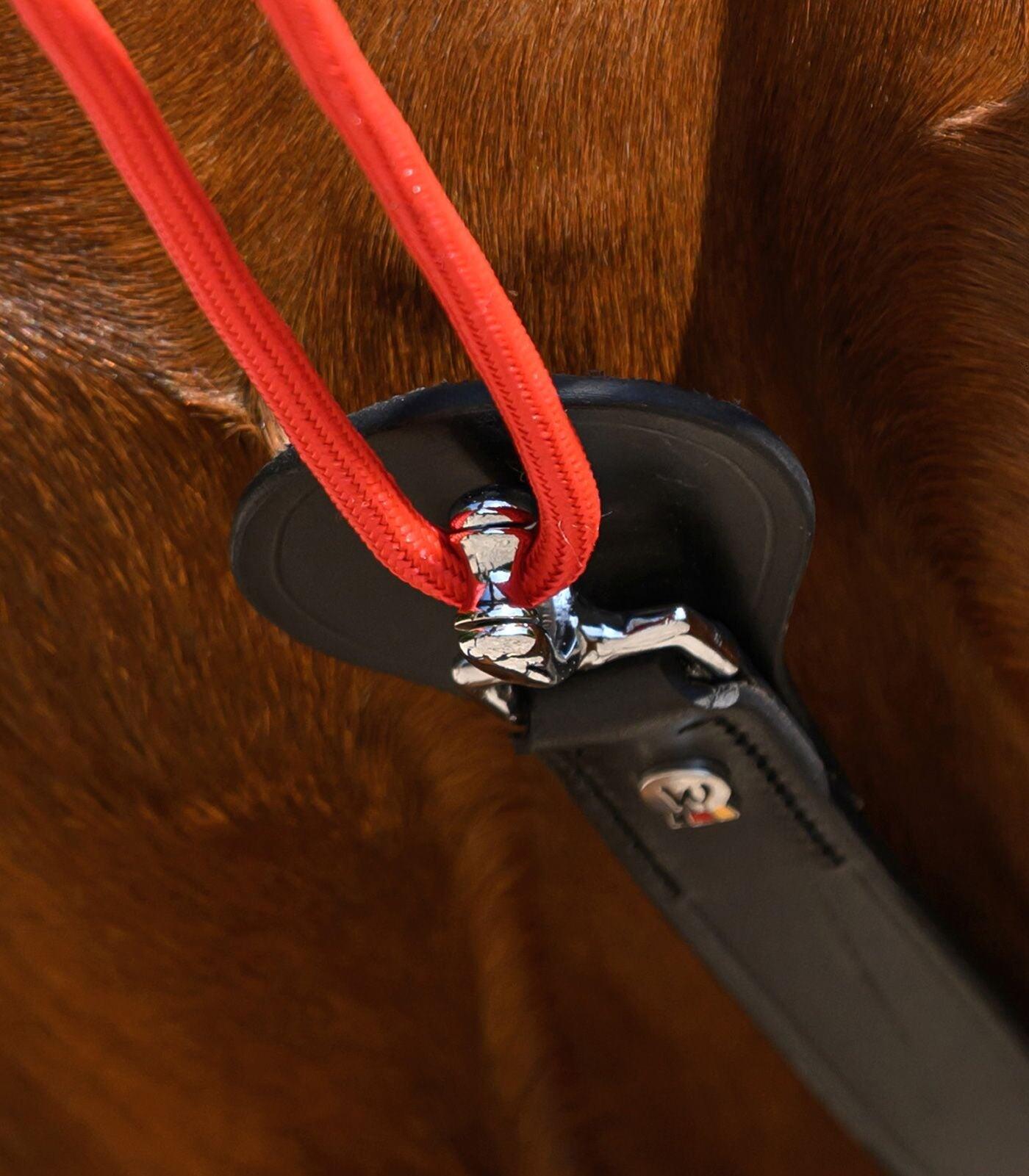 Frenos para caballo de entrenamiento Waldhausen W-trainRein 4/5