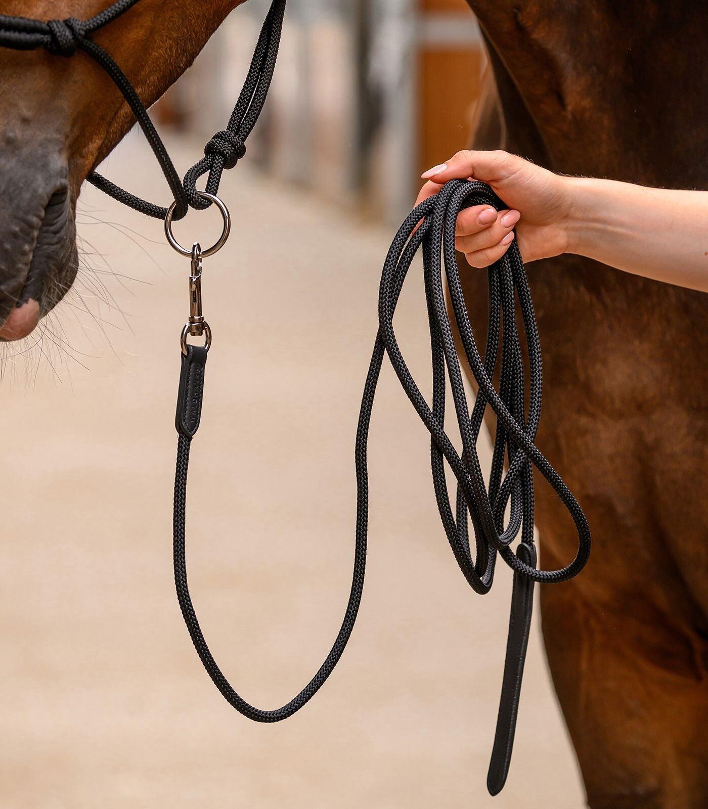Longe équitation de travail au sol légère avec mousqueton Waldhausen 2/3