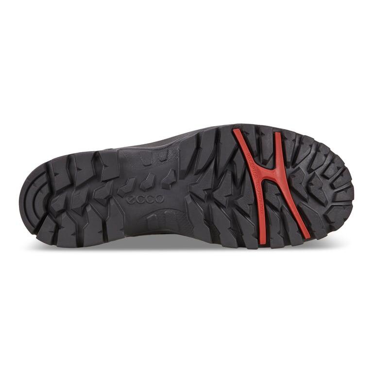 Buty trekkingowe męskie Ecco Xpedition Iii 6/7
