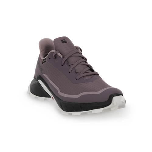 SALOMON picture