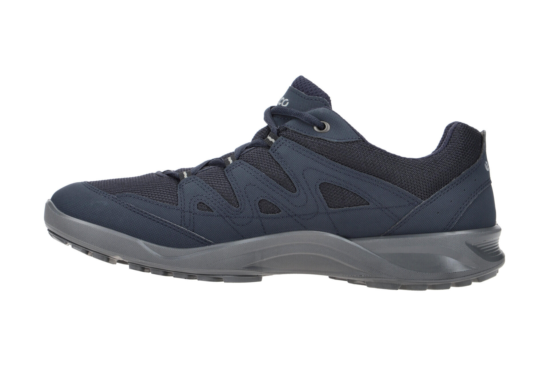 Ecco TerraCruise LT Herren Schuhe blau GORE-TEX 5/7