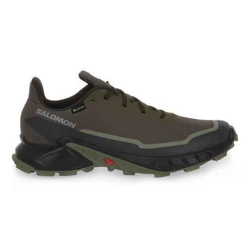 Salomon Alphacross 5 GTX Schuhe grün olive GORE-TEX 473103 2/7