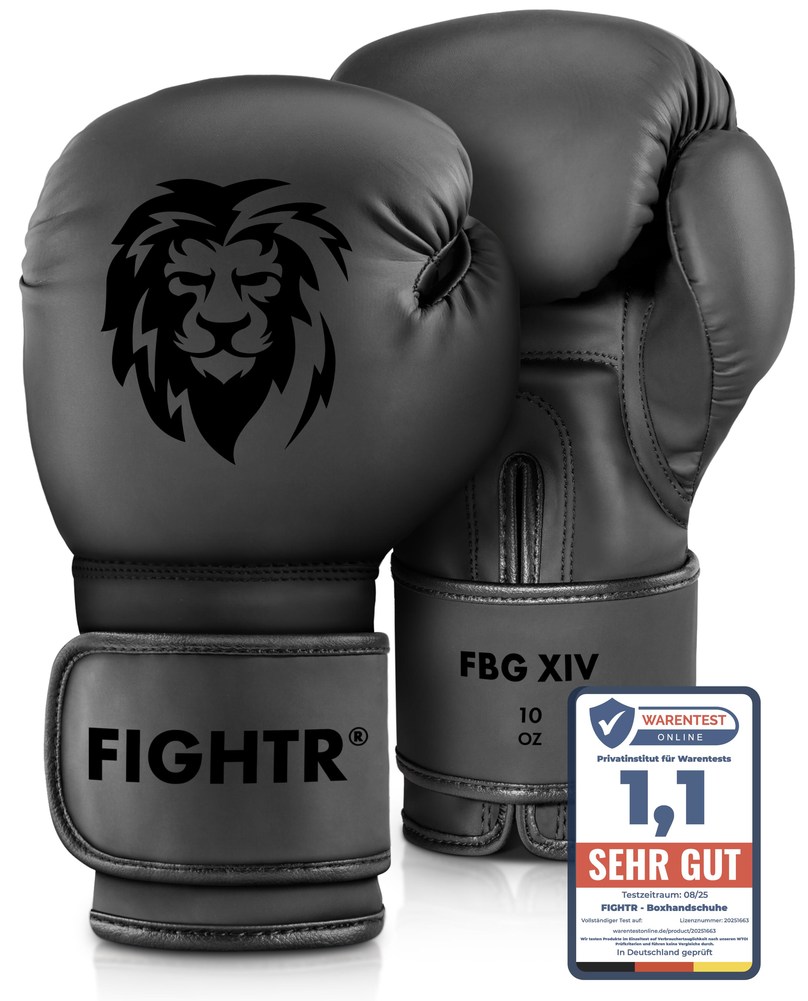 FIGHTR picture