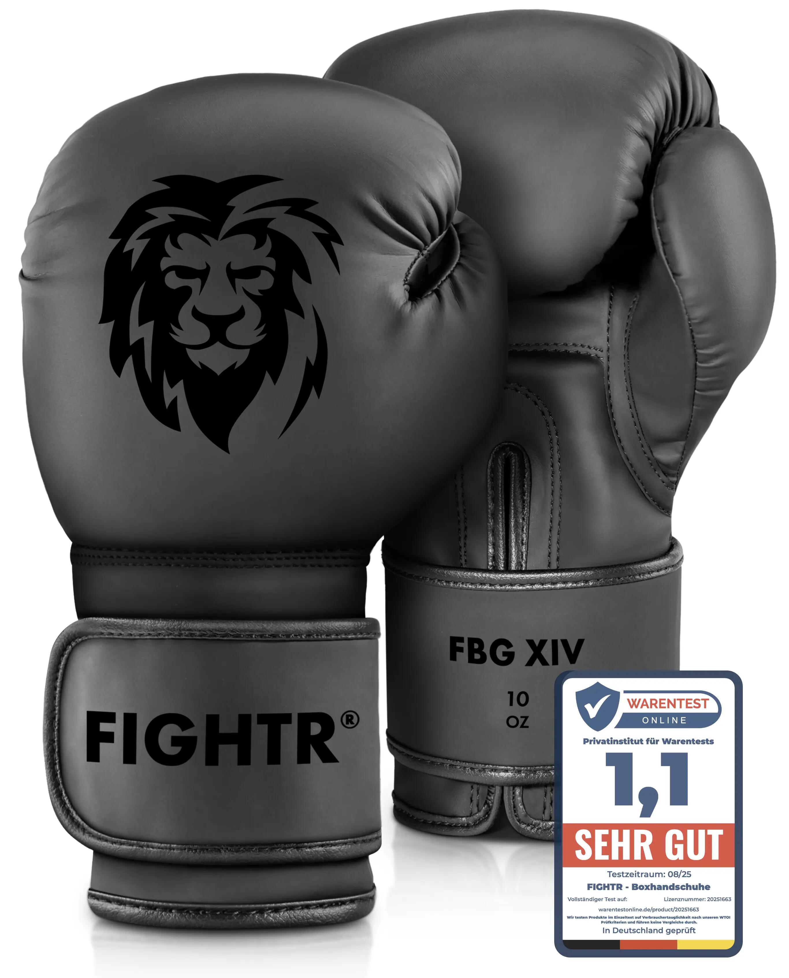 FIGHTR picture