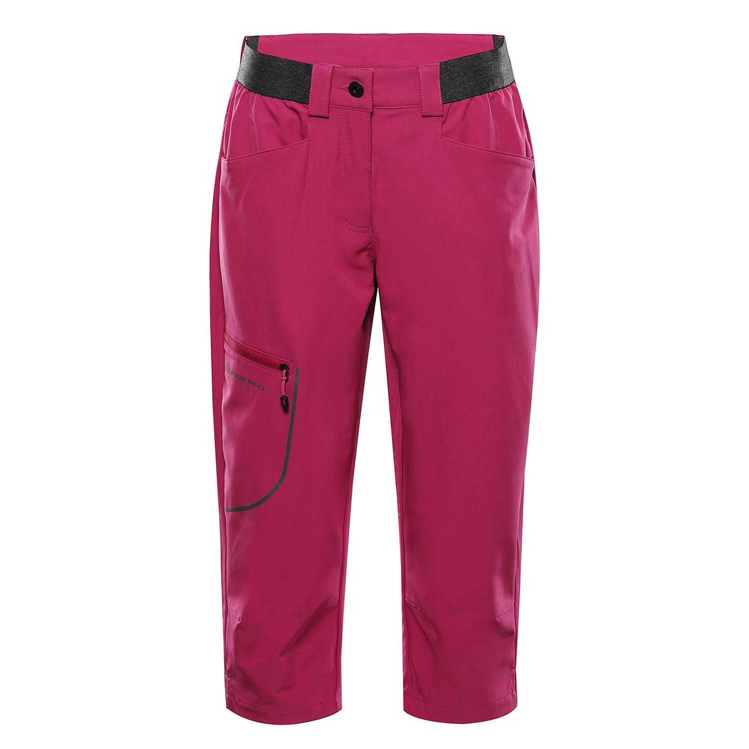 ALPINE PRO picture