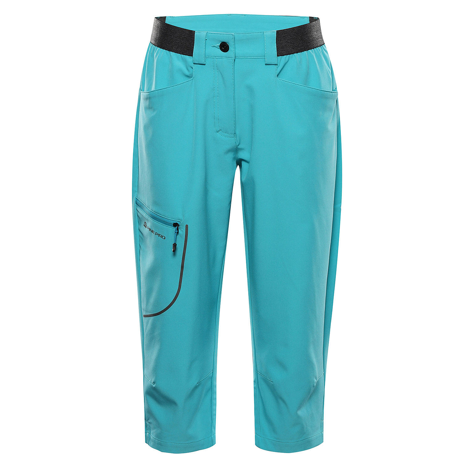 ALPINE PRO picture