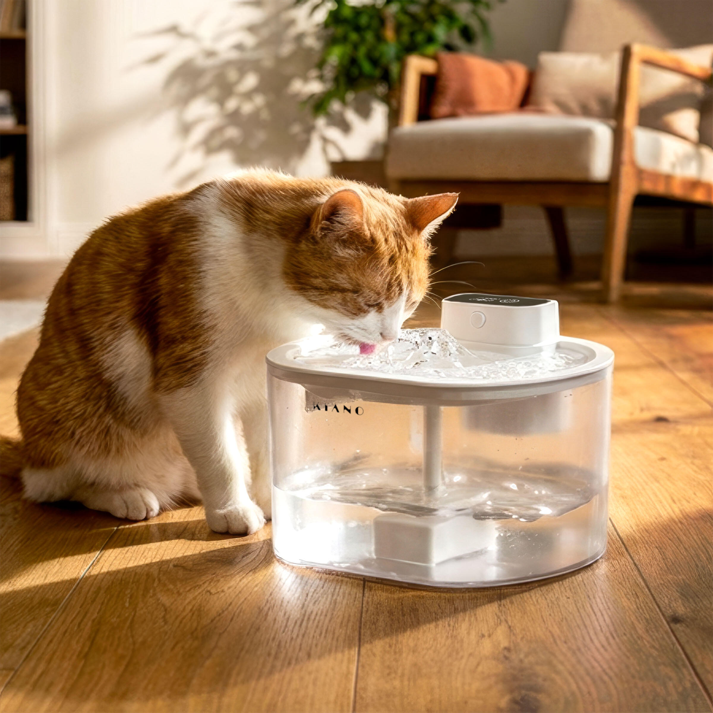 Mangiatoia automatica per cane e gatto 2/7