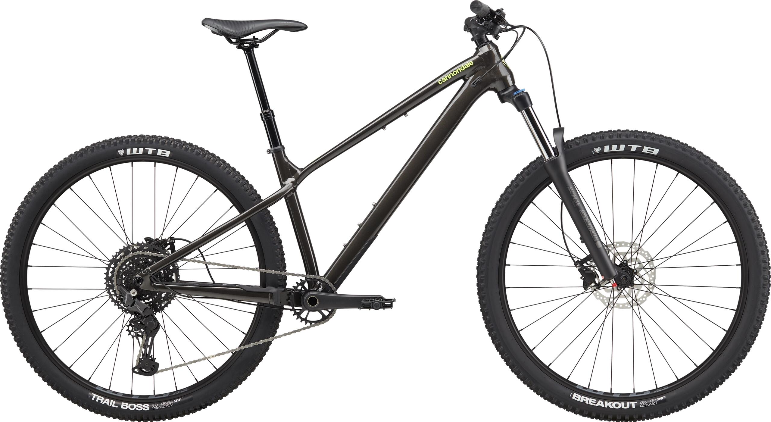 CANNONDALE picture