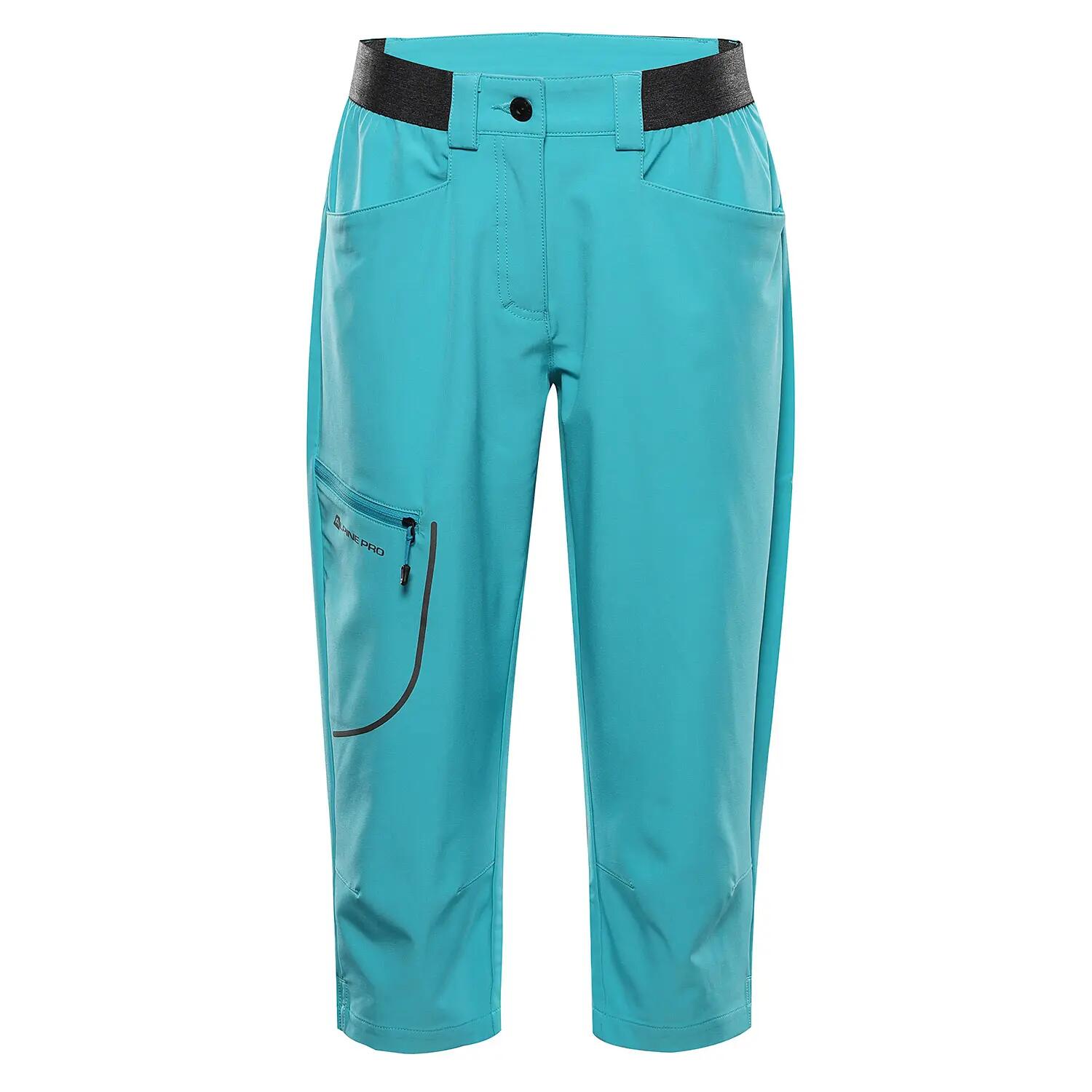ALPINE PRO picture