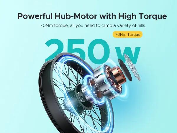 Bicicletta elettrica ENGWE E26 – Ebike per tutti i terreni 7/14