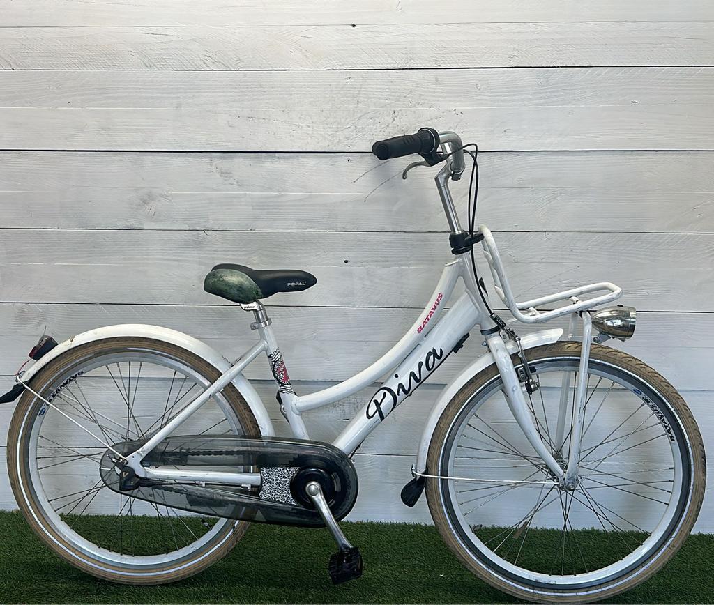 BATAVUS picture