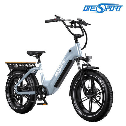 E-Bike lage instap OT08 20" 864WH elektrische fiets uniseks grijs