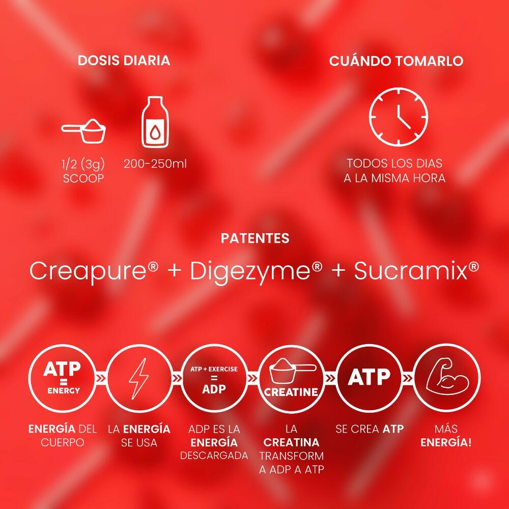 Creatina Lollipop Creapure® 300g Protella 3/6