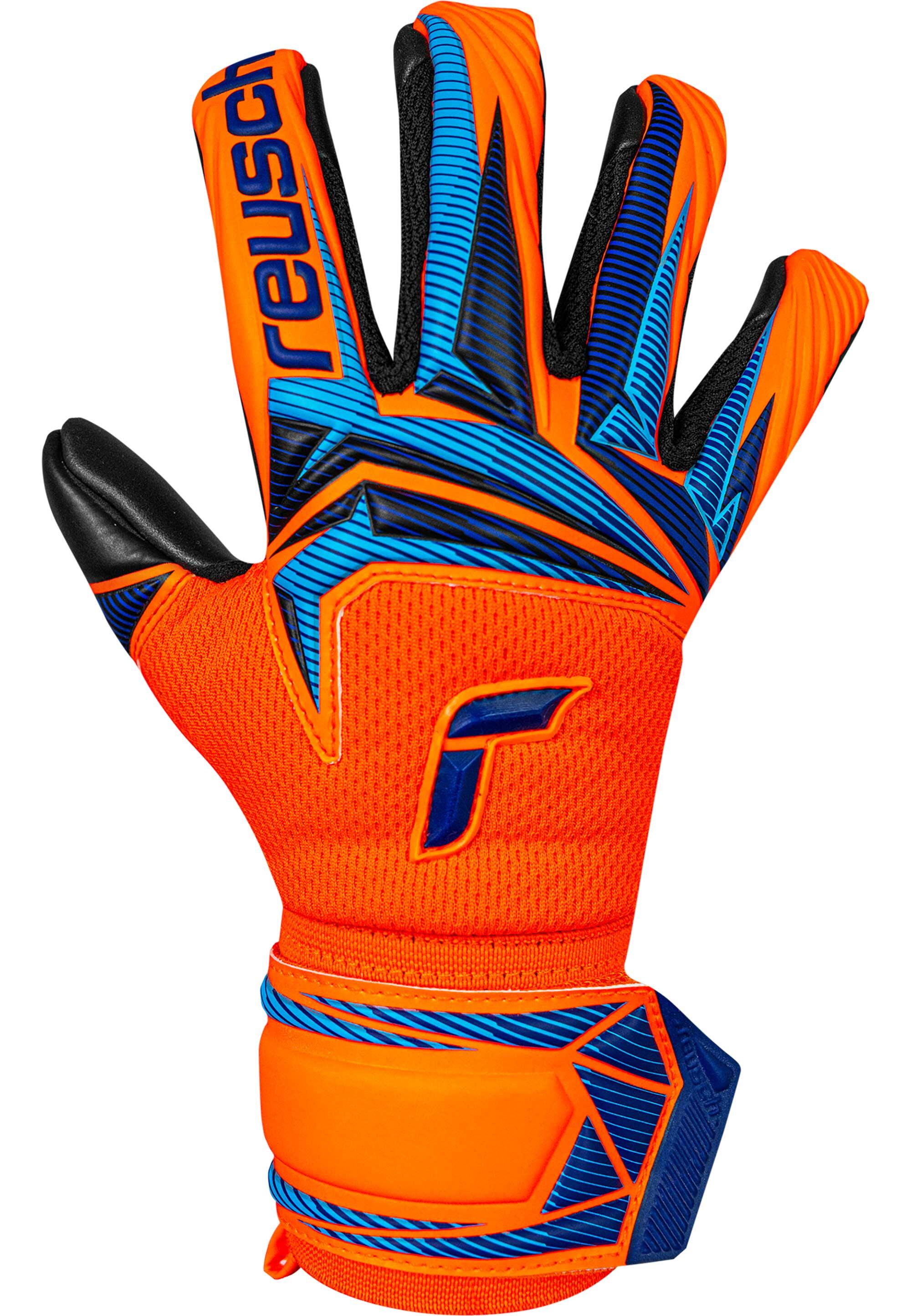 Torwarthandschuhe Attrakt Infinity Evolution NC Junior 2/5