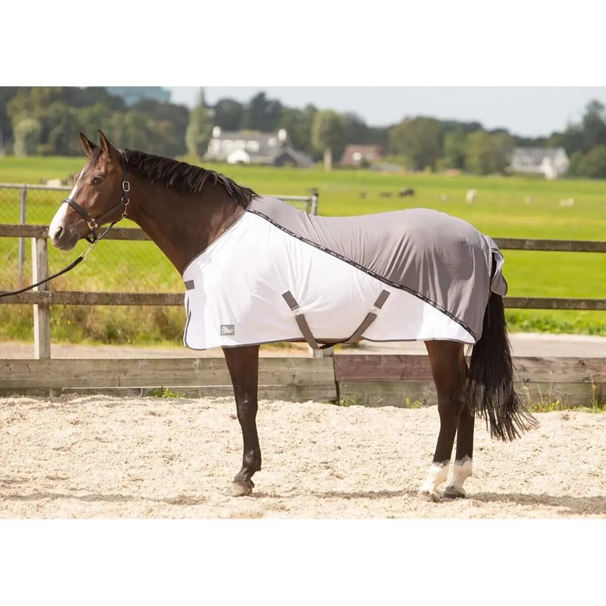 Chemise pour cheval mesh-pro Harry's Horse 2/5