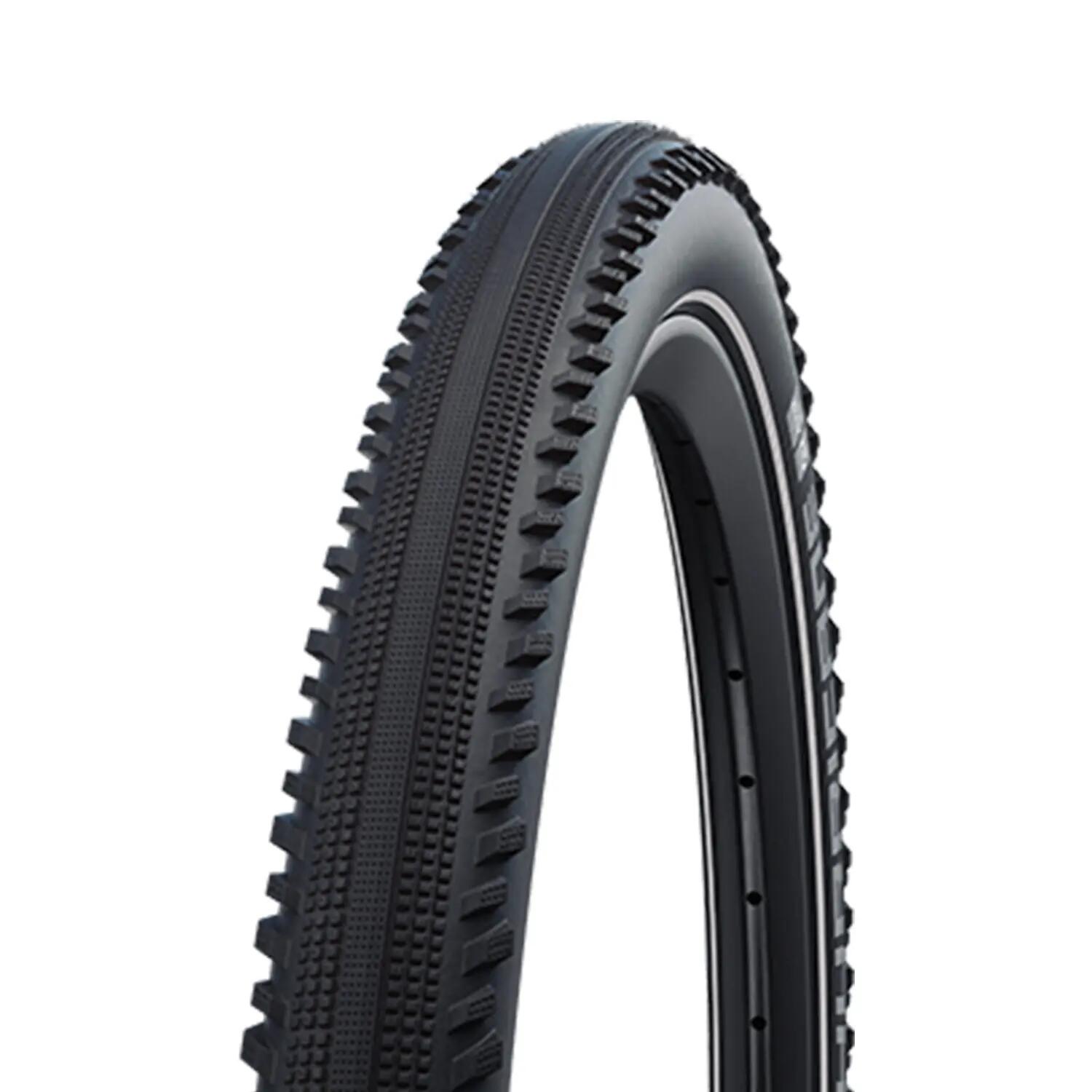 SCHWALBE picture
