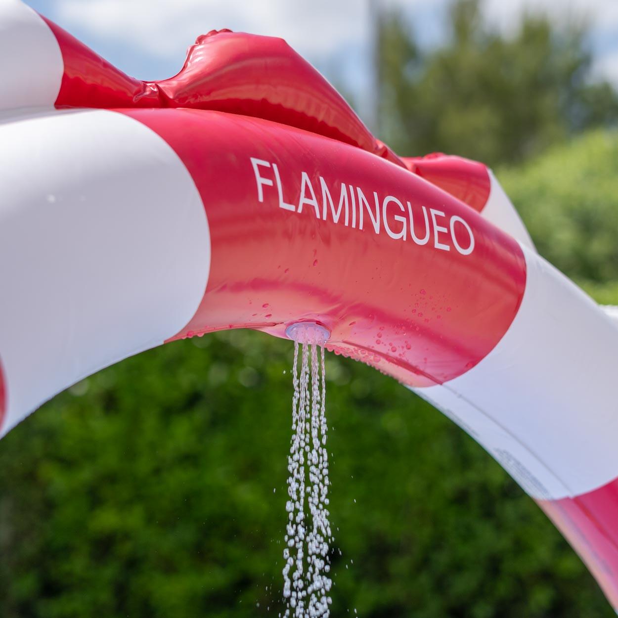 Flamingueo Centre De Jeux Aquatique Avec Toboggan PVC Violet 5/7