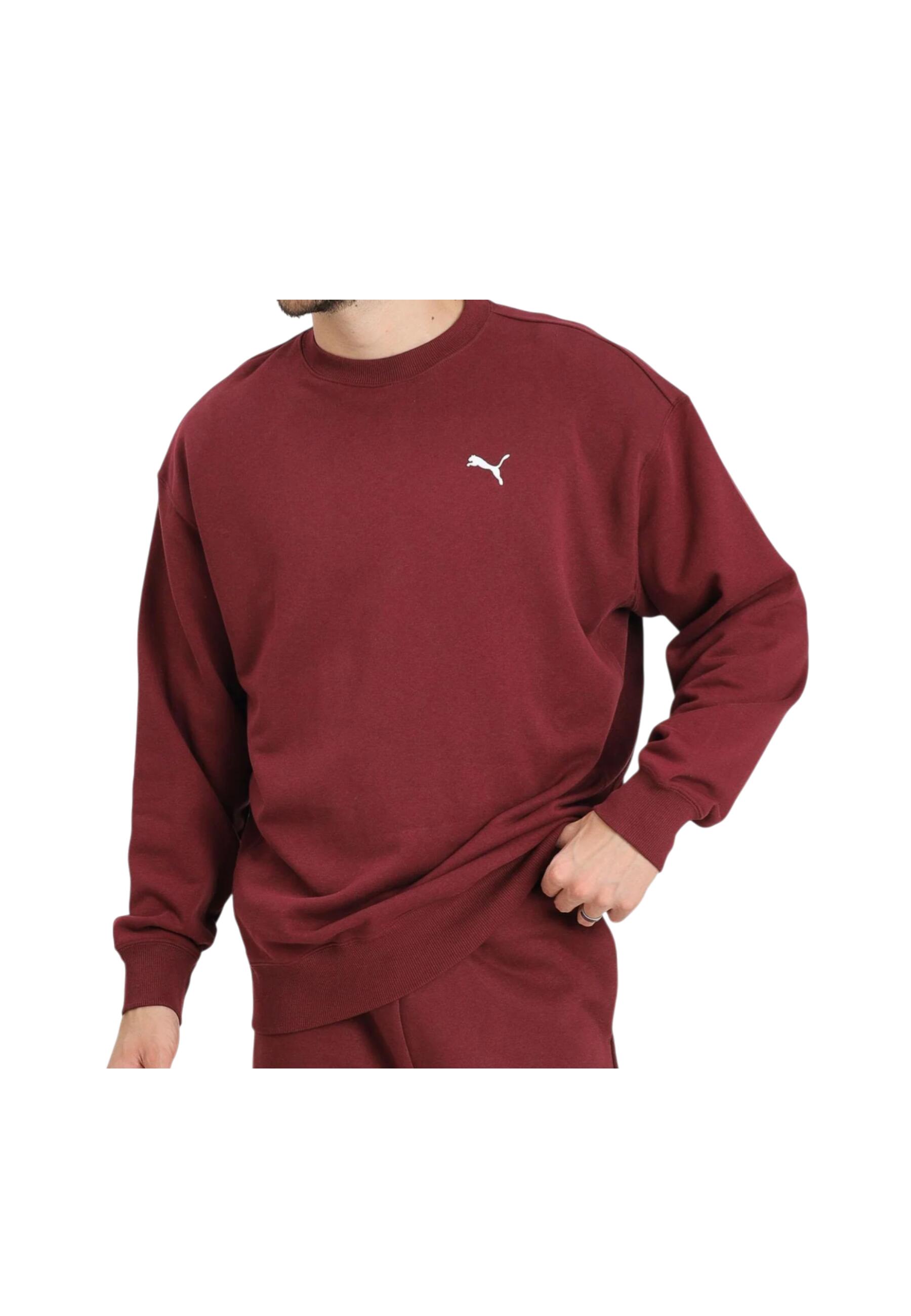 PUMA picture